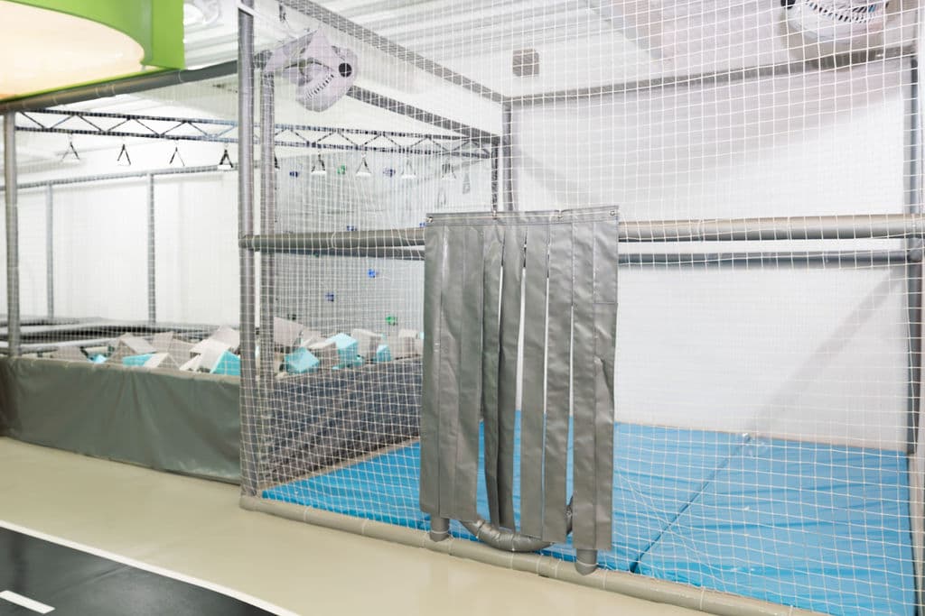 Zona de Jumping Zona de Jumping